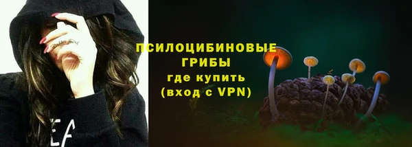 эйфоретик Алзамай