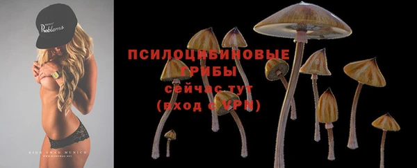 MDMA Михайлов